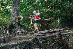 BIB: 
                            <button type="button" onclick="openModal(27544058)" class="btn btn-primary btn-sm float-right btn-popup" data-toggle="modal" data-target=".modal-high-quality">
                        <i class="fas fa-shopping-cart"></i> Add to Cart
                    </button>
                                            <button type="button" onclick="isThisMe(27544058, true)" class="btn btn-success btn-sm float-right btn-popup btn-isme hidden" data-toggle="tooltip" data-placement="bottom" title="นี่คือรูปของคุณใช่ไหม คลิกที่นี่เพื่อเอาเข้าอัลบั้ม">
                        <i class="fas fa-plus"></i> Add to album
                    </button>
                    <button type="button" onclick="isThisMe(27544058, false)" class="btn btn-warning btn-sm float-right btn-popup btn-isnotme hidden">
                        <i class="fas fa-ban"></i> Remove from album
                    </button>